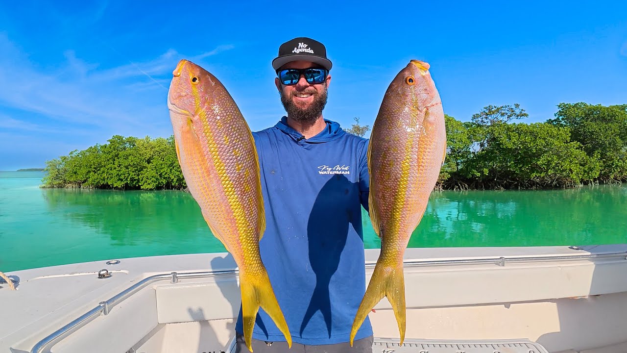 BIG Yellow Tail Snapper | Adapting | Island Catch & Cook