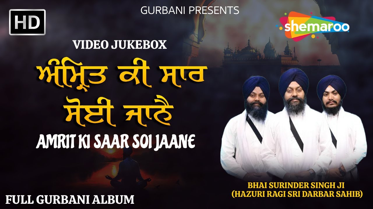 NonStop Shabad kirtan Gurbani 2025 - Amrit Ki Saar - FULL ALBUM - Bhai Surinder Singh Ji - #gurbani