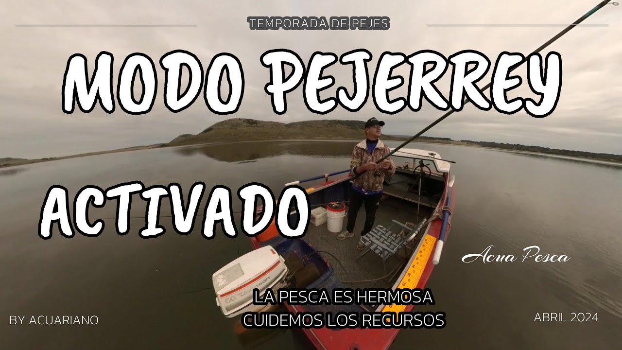 MODO PEJERREY ACTIVADO