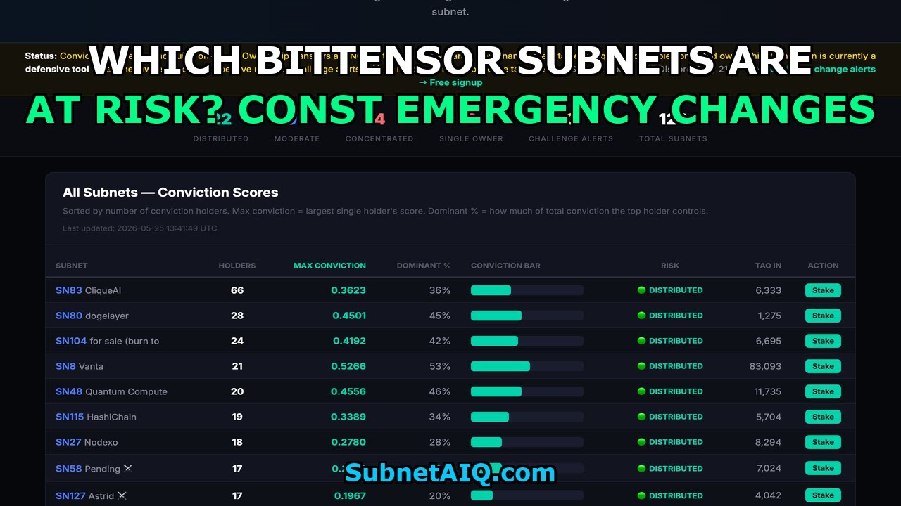Which Bittensor Subnets Are At Risk? Const Emergency Changes