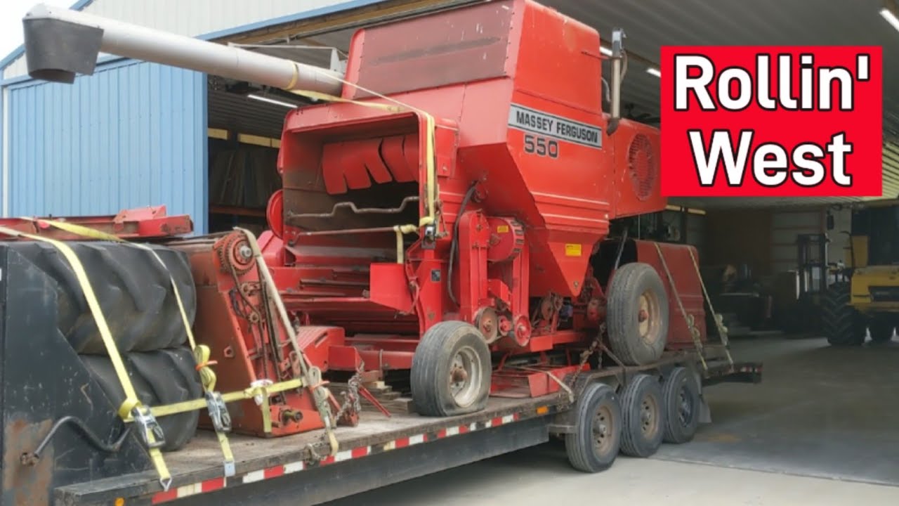 Colorado Bound Massey Ferguson 550 Combine