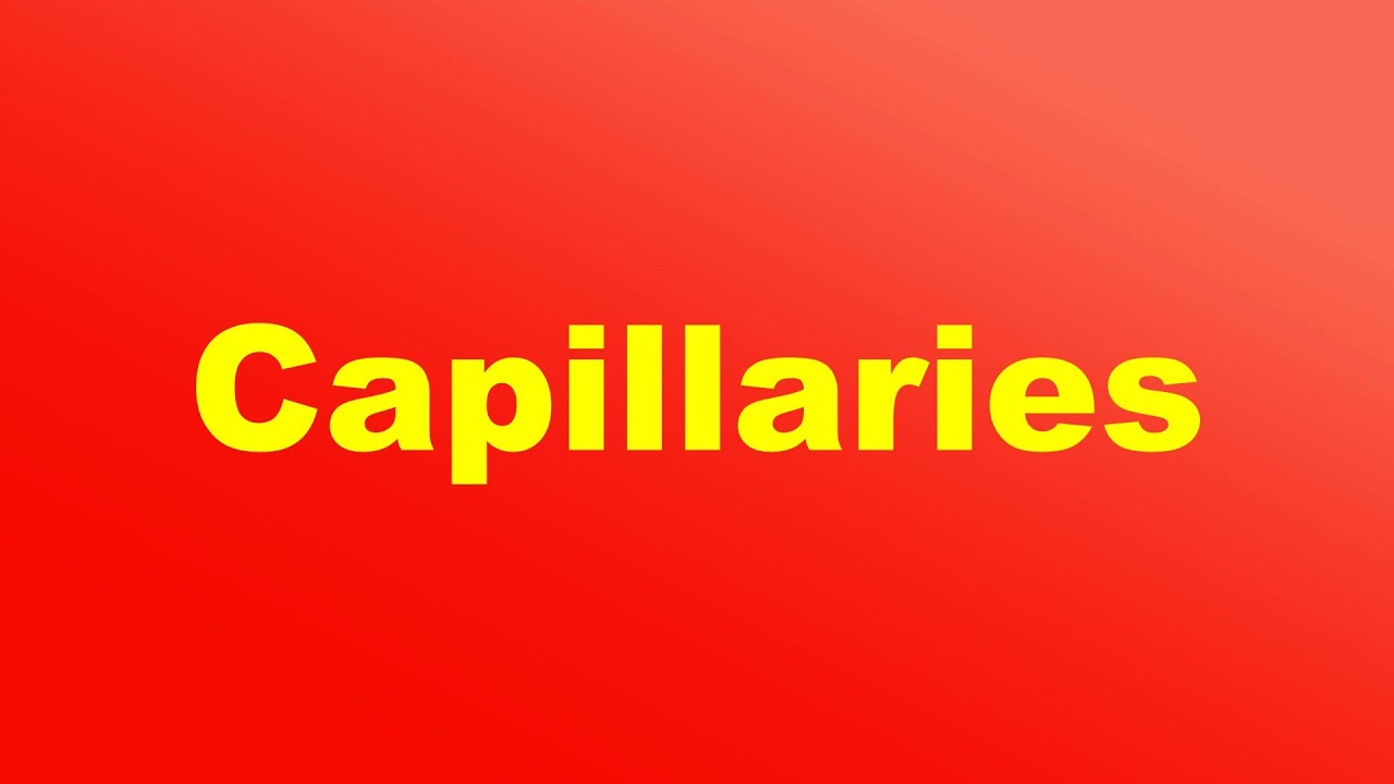 Capillaries Definition and Function