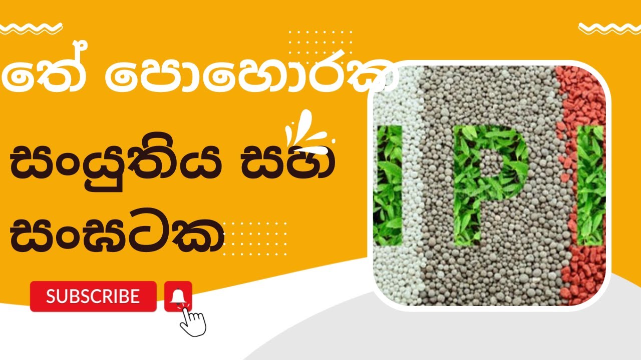 තේ පොහොර වල සංයුතිය සහ සංඝටක | Compositions of different Tea Fertilizer Blends #Teafertilizer #NPK