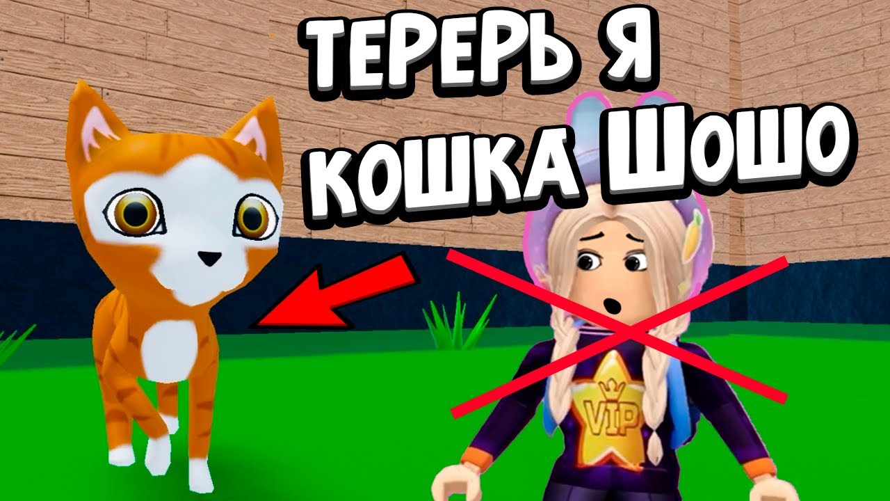 ТЕПЕРЬ Я КОШКА ШОШО 🤷‍♀️ роблокс bad cat