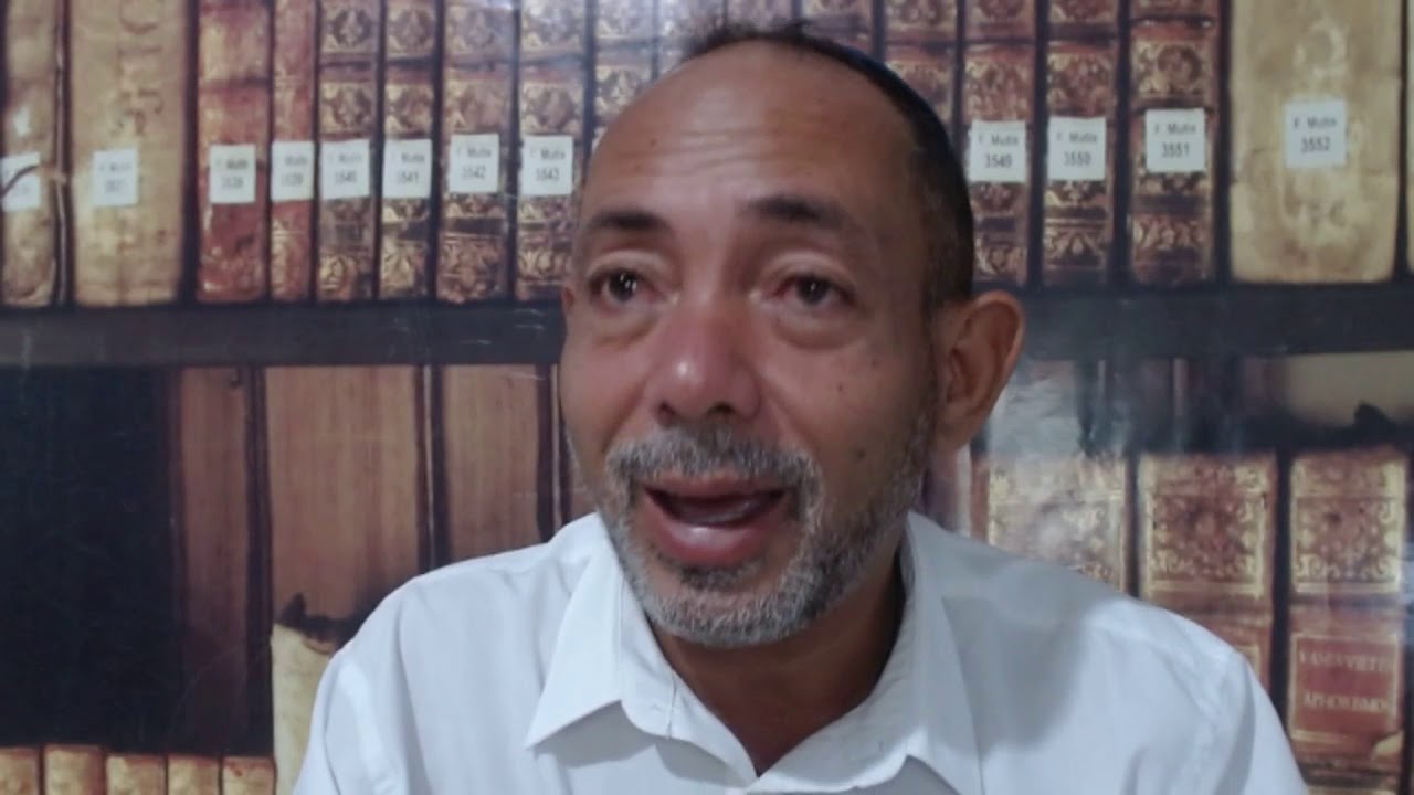 Sonhar com pássaro na mão significado de sonhos com passarinhos sonhos com pássaros significado