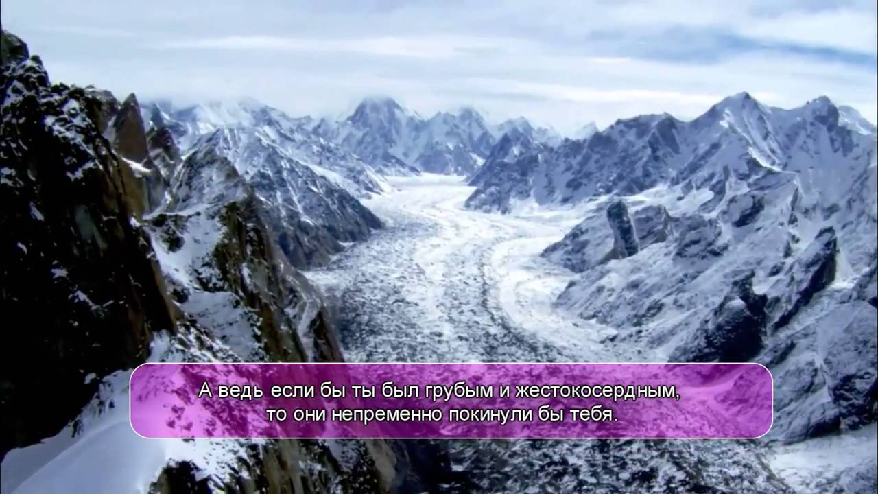 Сура 3 &laquo;аль Имран&raquo; 156 165