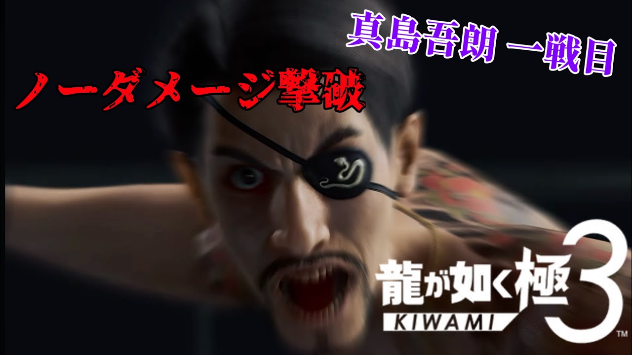PROFESSIONAL 真島吾朗 (一戦目) ノーダメージ【龍が如く極3】