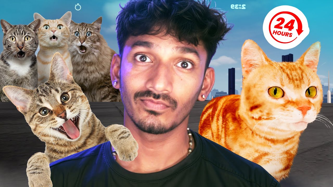 I Became A Cat for 24 hrs 😺