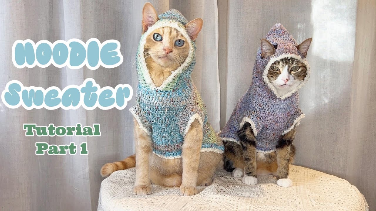 Tutorial - Crochet Hoodie Sweater for Cats - Part 1 - super cute - cat sweater