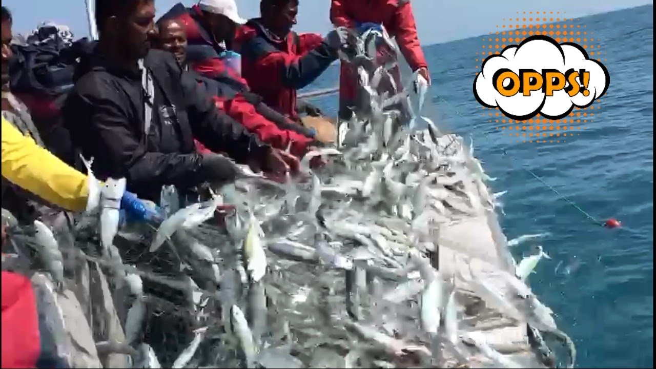 Mangalore Fishing 🎣 || @Fisheries-Life-Style Boat is Full of Fish || Karnataka || India ||