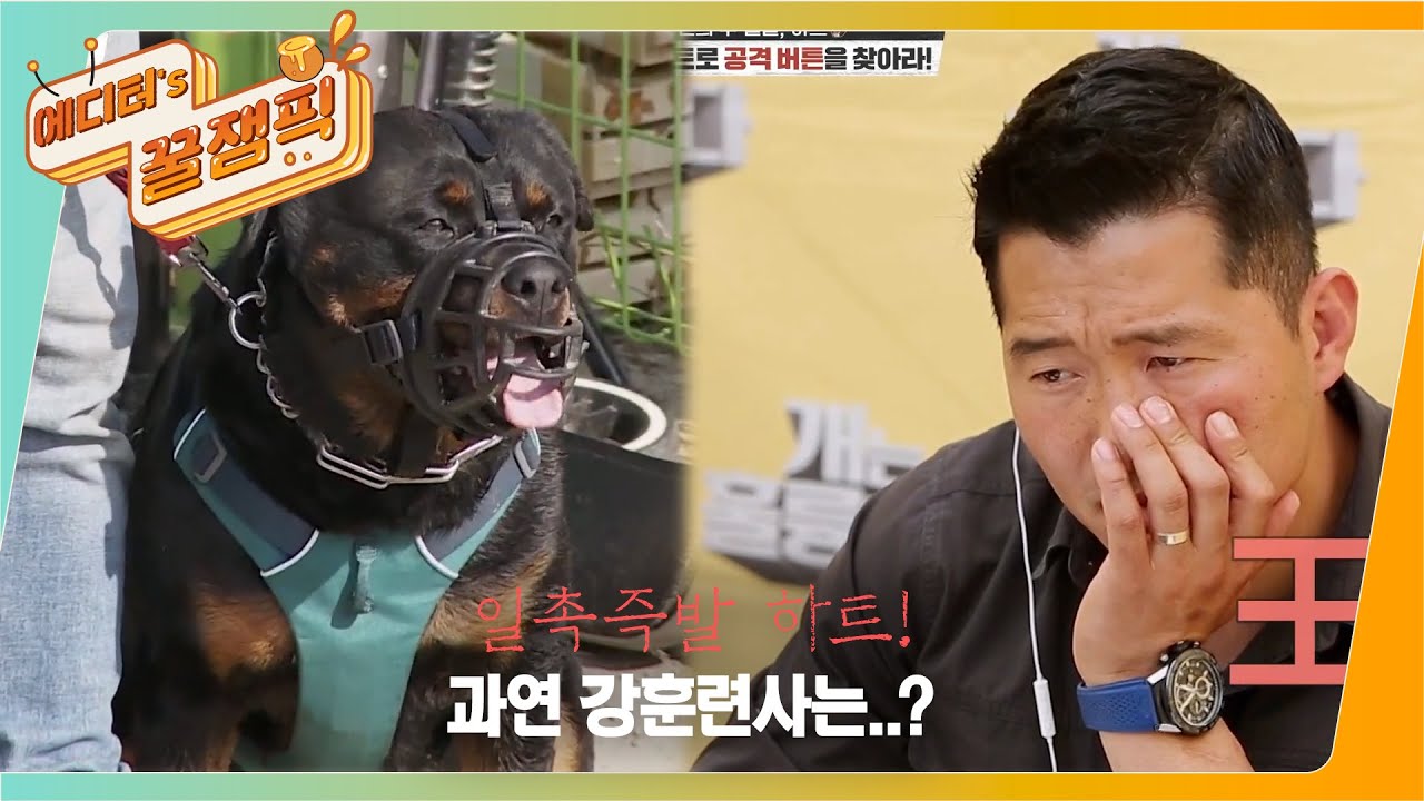 [#개는 훌륭하다] 5대 맹견 중 하나인 로트와일러! 강훈련사 무사히 훈련 시킬 수 있을까? 🐶 l KBS 210531