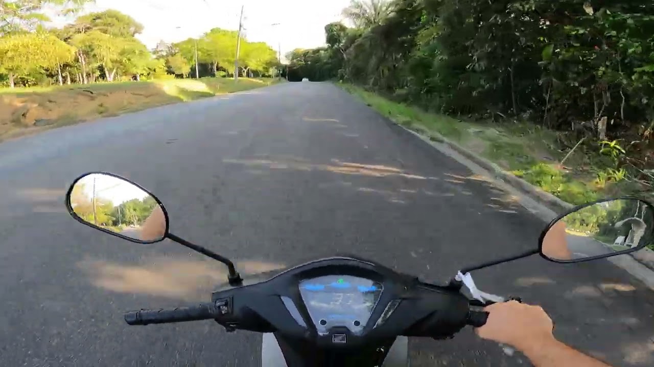 ASMR RESTING VIDEO | CLEANING MIND | SUNSHINES IN STREET FOREST UFAM MANAUS BRAZIL ☀️🚦🌹🪵