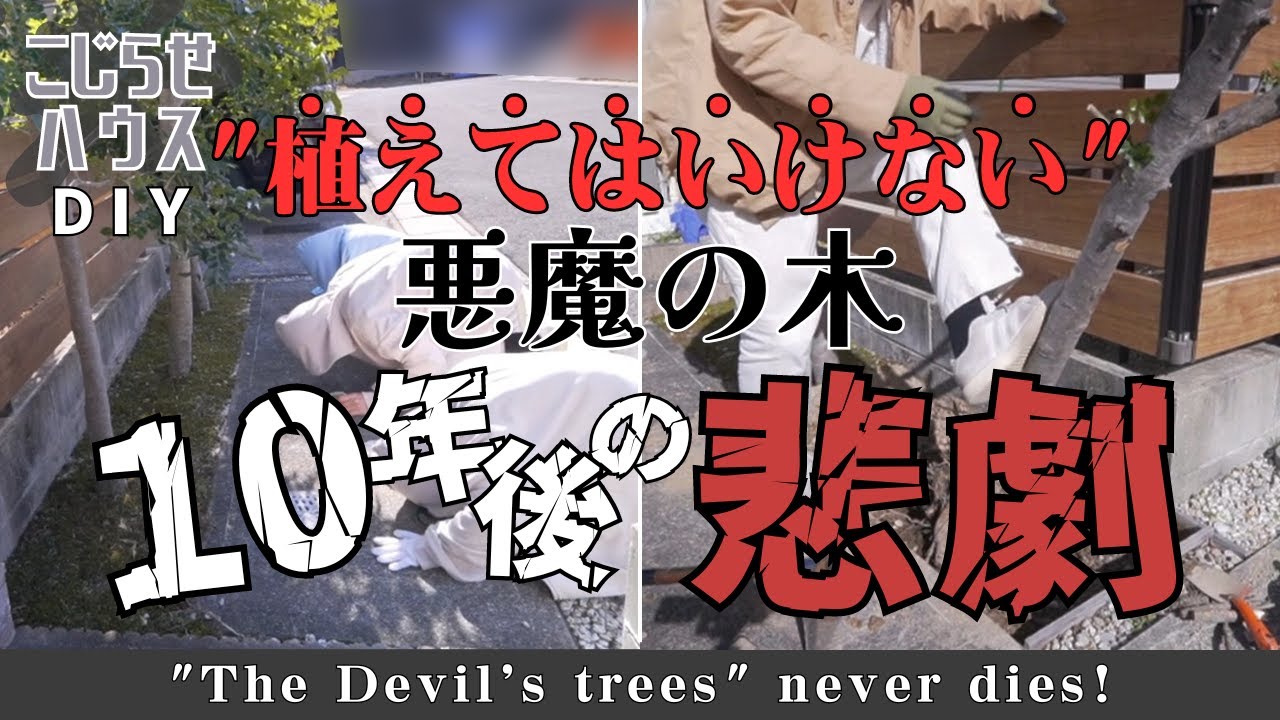＃30【汚庭ツアーと伐根】植えて後悔。衝撃のラスト。全部抜いたはずなのに！？