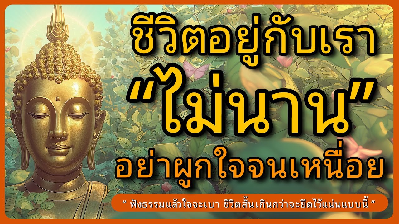 ชีวิตอยู่กับเราไม่นาน อย่าเอาใจไปผูกจนเหนื่อย l ธรรมะก่อนนอน lชีวิตสั้นเกินกว่าจะยึด l หลับตาฟังธรรม