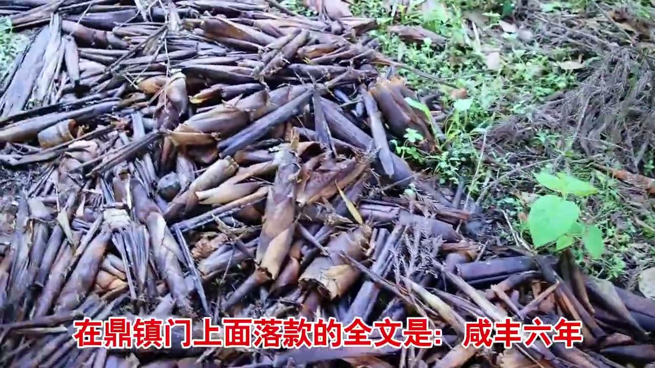 呼吁金鼎山镇将“金鼎寨”的介绍标牌更改，金鼎寨两道城门遗址在#金鼎山镇 #金鼎山 #古军事遗址 #古迹 #保护文物传承文化