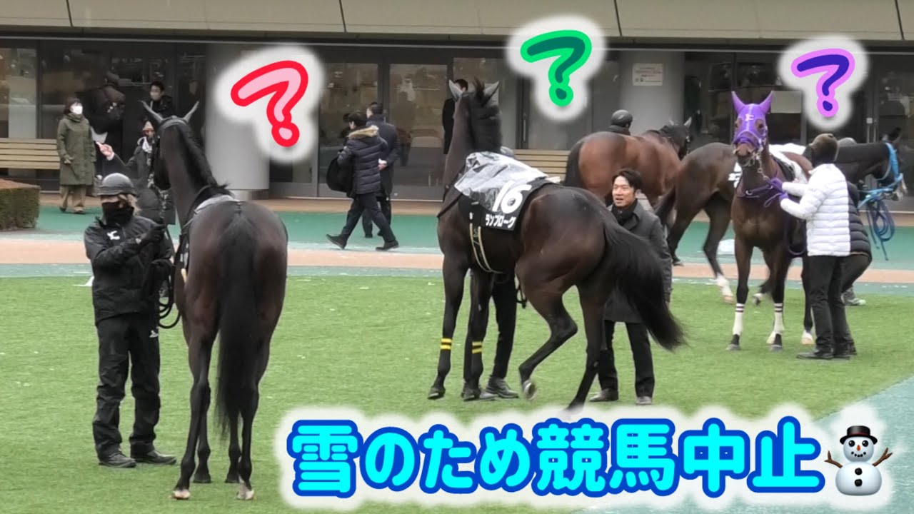 競馬中止になっちゃったお馬ちゃん達