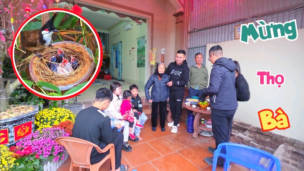 Vì Ph.á.o Giao Thừa Hỏng Mất 2 Tổ Chào Mào Bạch Và Mừng Thọ Bà Nội / Quế Nghịch