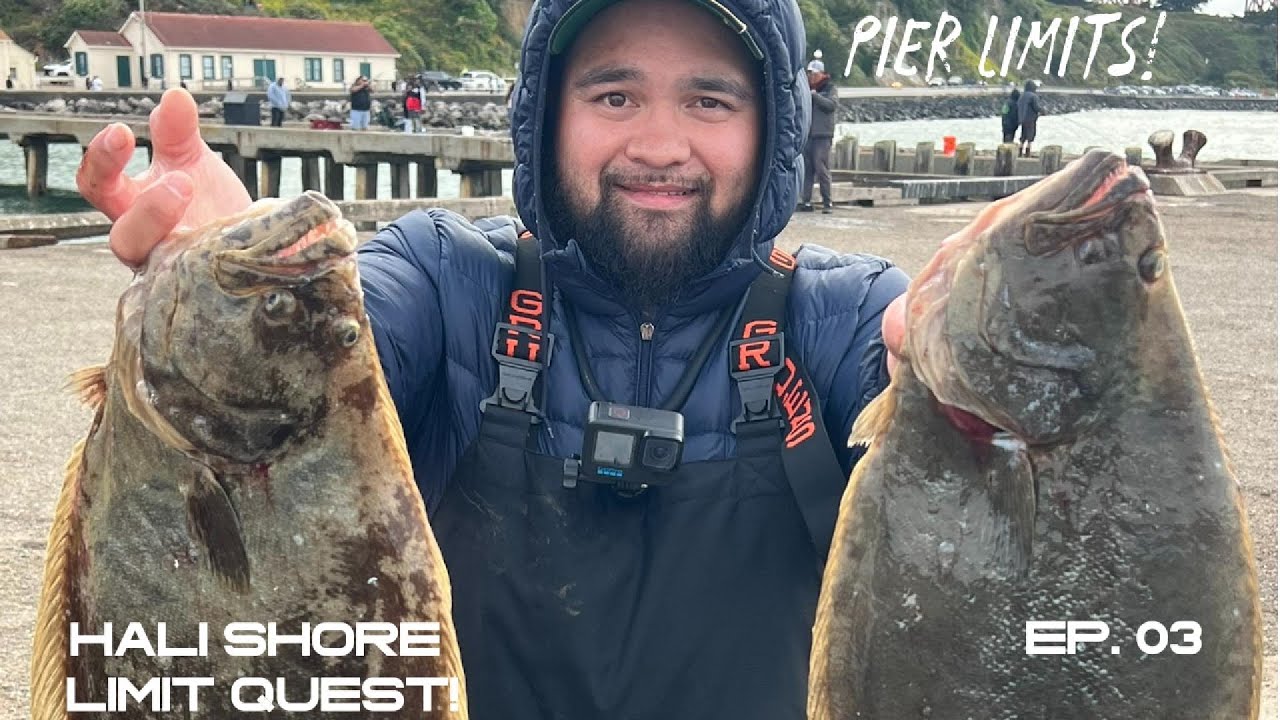 CA HALIBUT PIER LIMITS QUEST!