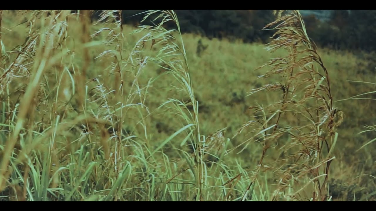 The Story of Our Planet Earth sony cinematic video sony a7ii sigma 30mm  f1.4