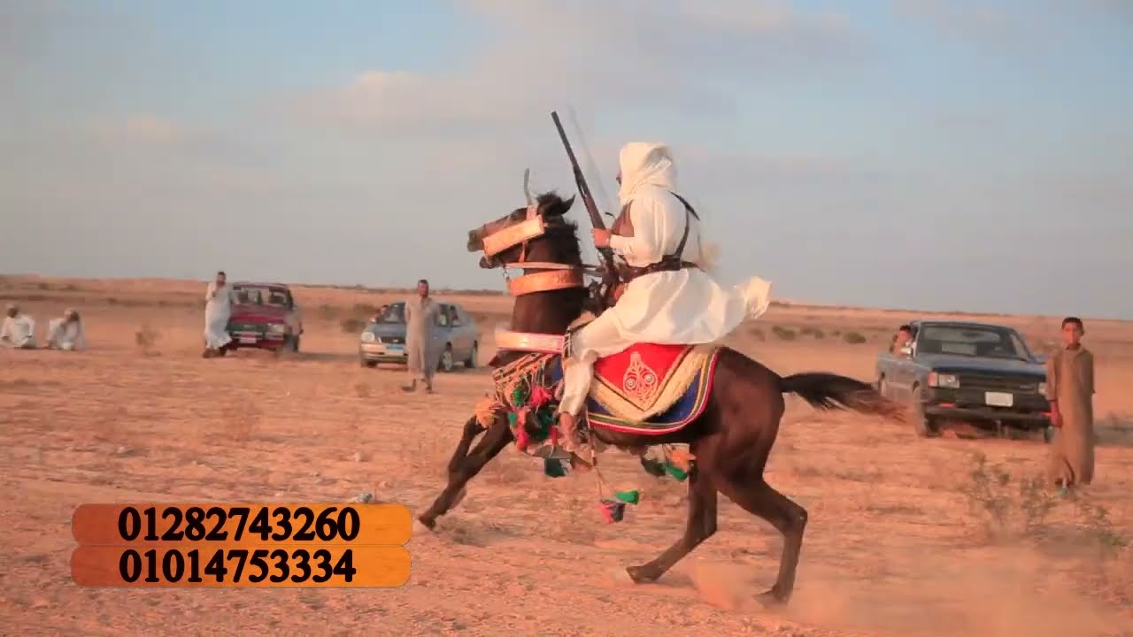 مرضي بوحليص كليب 2024 كبير