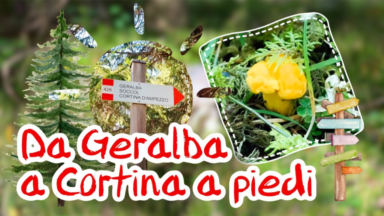 Da GERALBA (San Vito di Cadore) a CORTINA (loc. Socòl) A PIEDI | CONSIGLIATO