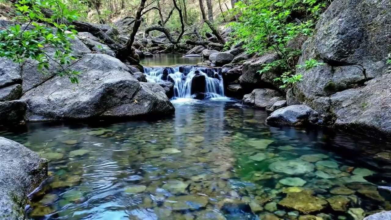 Creek Water Sounds in a Quiet Forest Valley for Deep, Restful Sleep