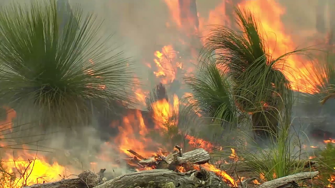 History of fire