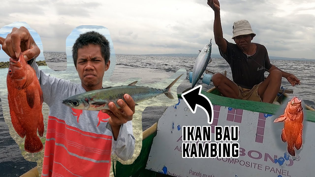 Mancing Kerapu Sunu Teknik Rinta
