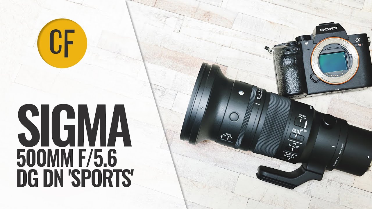 Обзор объектива Sigma 500mm f/5.6 DG DN «Sports»