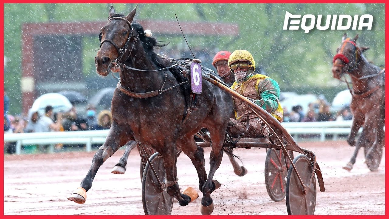VIVID WISE AS | Prix de l'Atlantique | Groupe 1 | Enghien