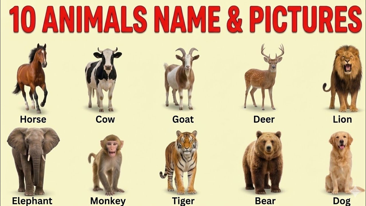 बच्चों के लिए जानवरों के नाम | 20 Animals Name in English for Kids | 