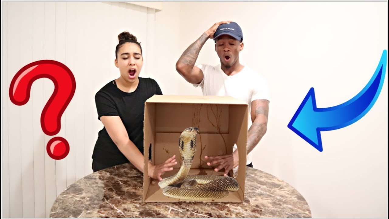 WHATS IN THE BOX CHALLENGE **LIVE ANIMALS** *craziest one yet*