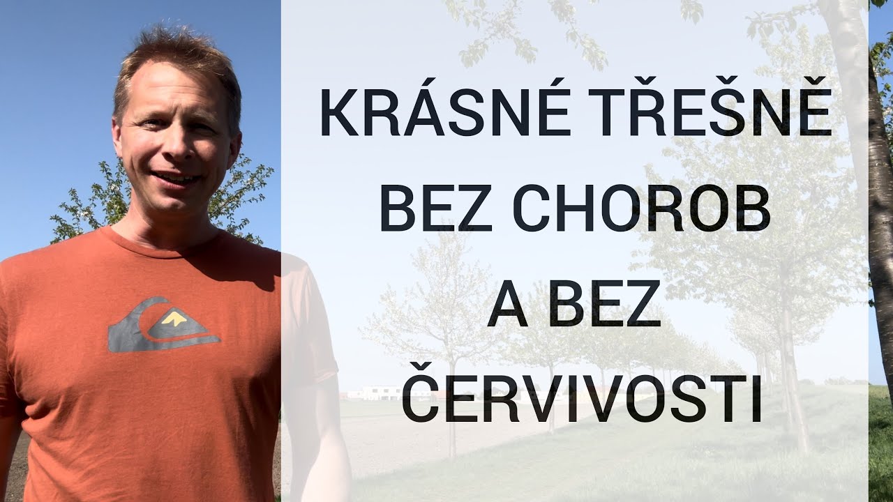🚫 Přestaňte UBLIŽOVAT svým třešním 🚫 9 chyb, kterými ničíte své stromy 🌳 Ukázka jarního řezu třešní