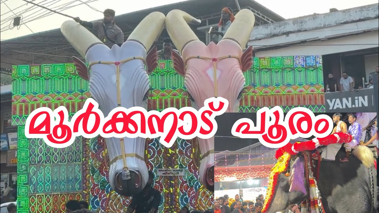 മൂർക്കനാട് പൂരം | moorkkanad pooram 2026 #pooram #pooram2026 #moorkkanad