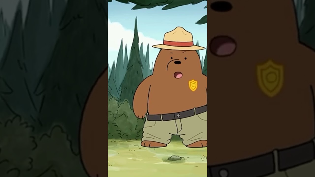 we bear bears