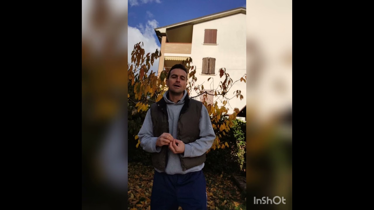Perché il vostro ciliegio non fa ciliegie