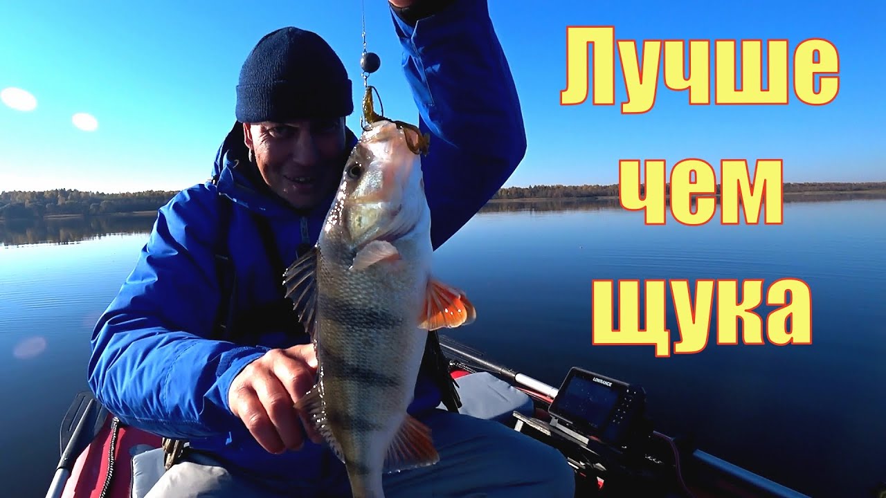 Лучше толстый окунь, чем мелкая щука