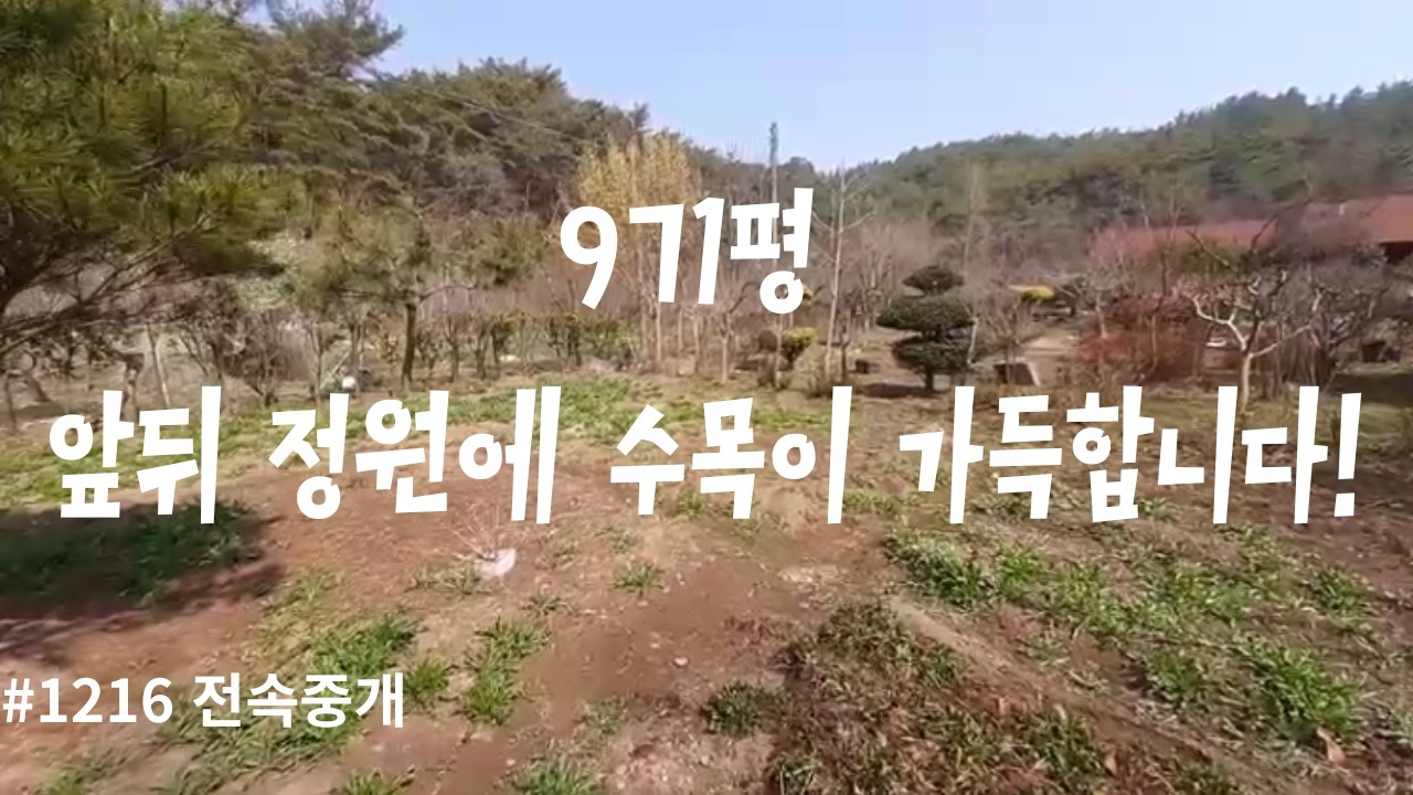 (971평), 앞뒤 정원에 수목이 가득합니다. 소나무 숲 골짜기 안집 뒤쪽으로 등산로 있고 마을과 한참 떨어져 있어 아주 조용하면서 교통도 편리합니다.