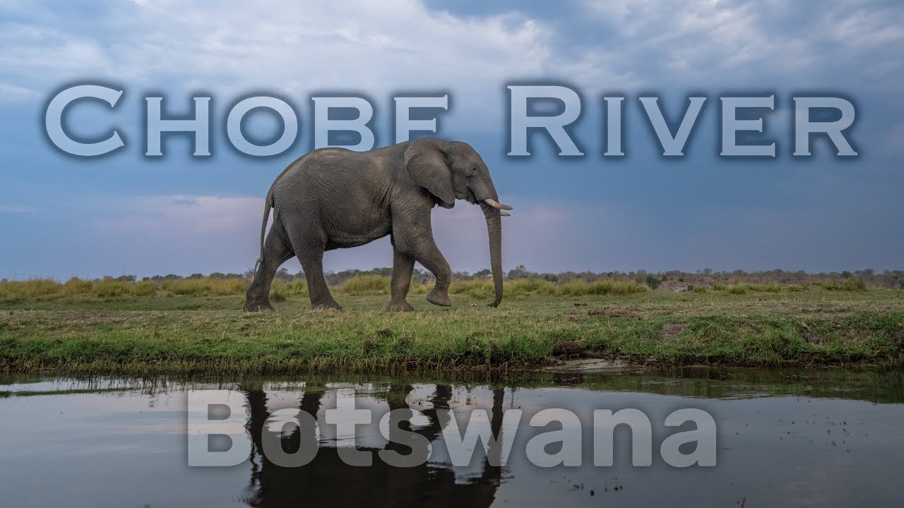 Chobe river - Botswana - Where the River Breathes Wildlife