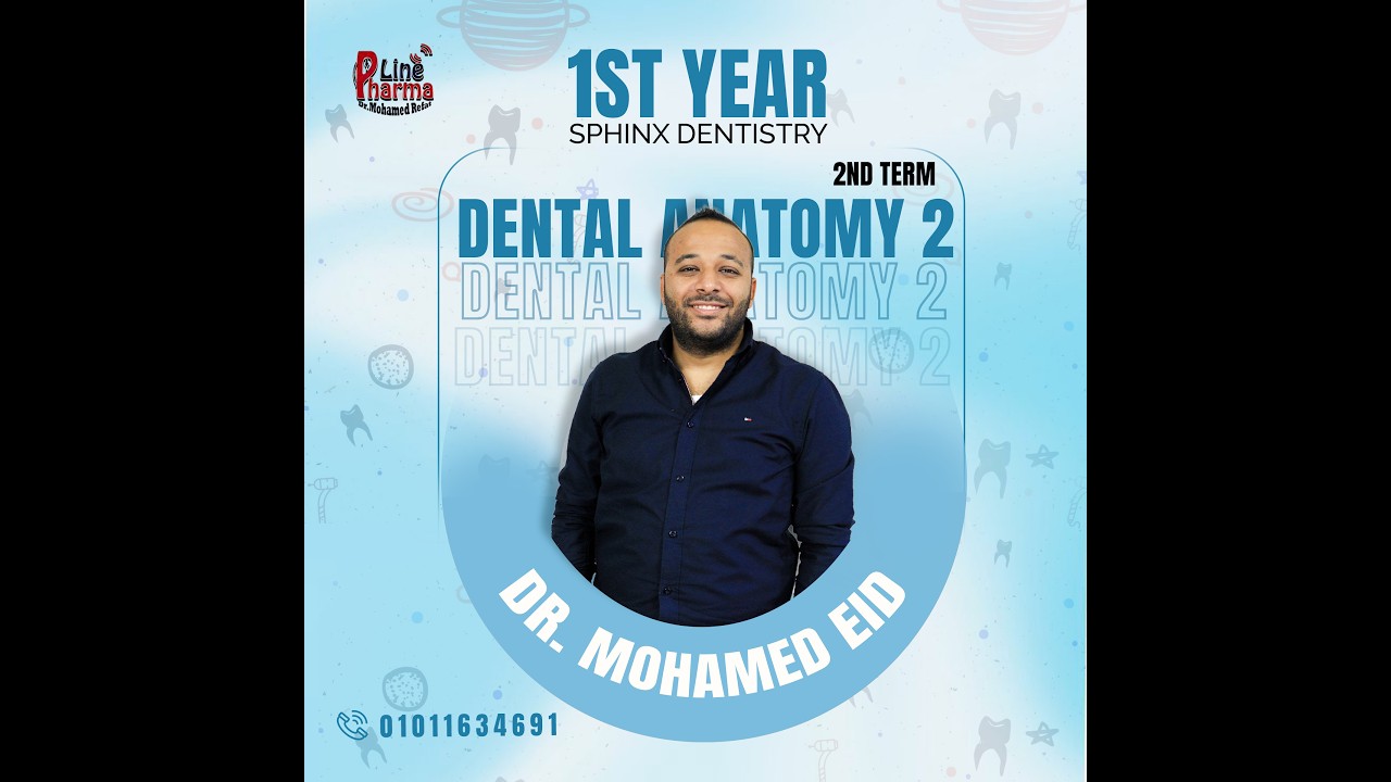 Dentition BUA -Maxillary Molars