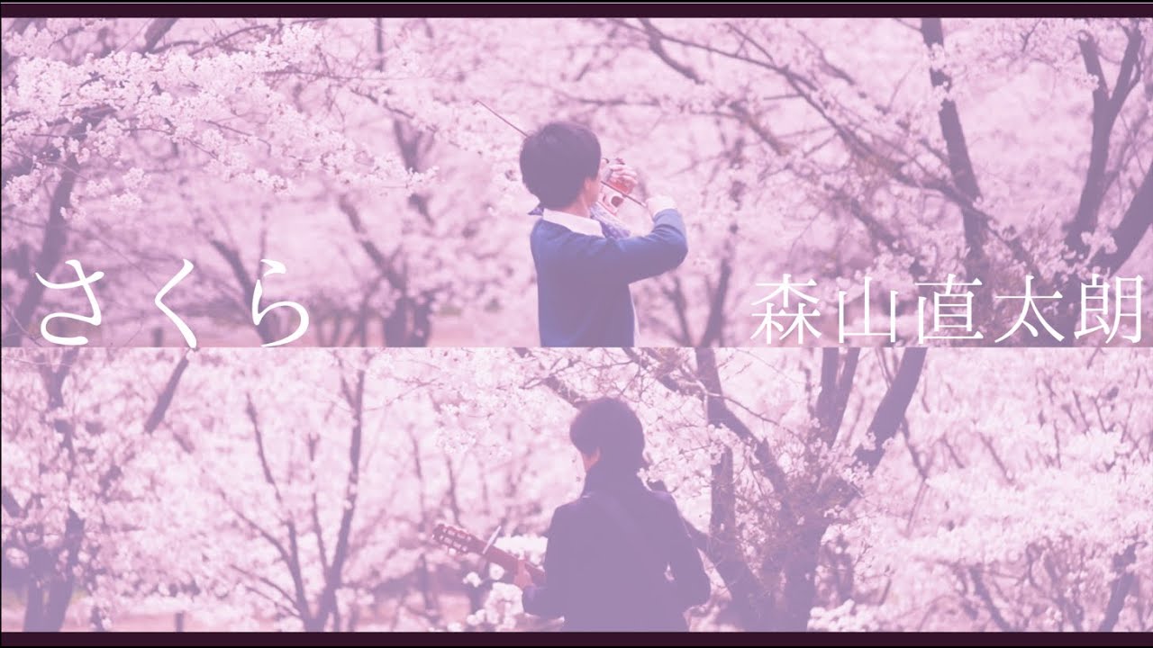 さくら - 森山直太朗 - ギター - バイオリン - カバー - Sakura - Naotaro - Moriyama - W Strings