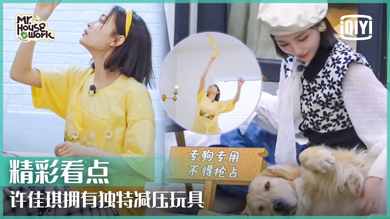 许佳琪独特减压玩具看懵黄景瑜 陈学冬怒训调皮狗勾 | 做家务的男人3 EP03 | Mr. Housework S3 | iQiyi精选