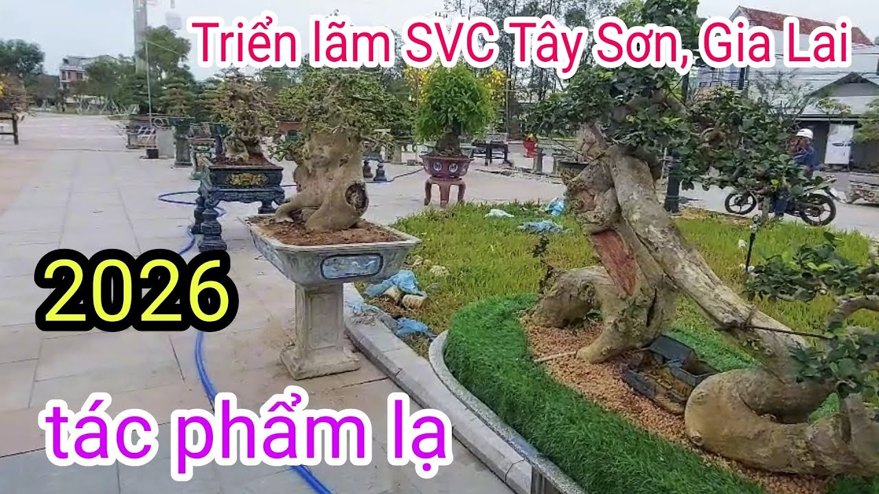 Triển lãm SVC Tây Sơn Gia Lai 2026, Nhiều tác phẩm độc lạ 