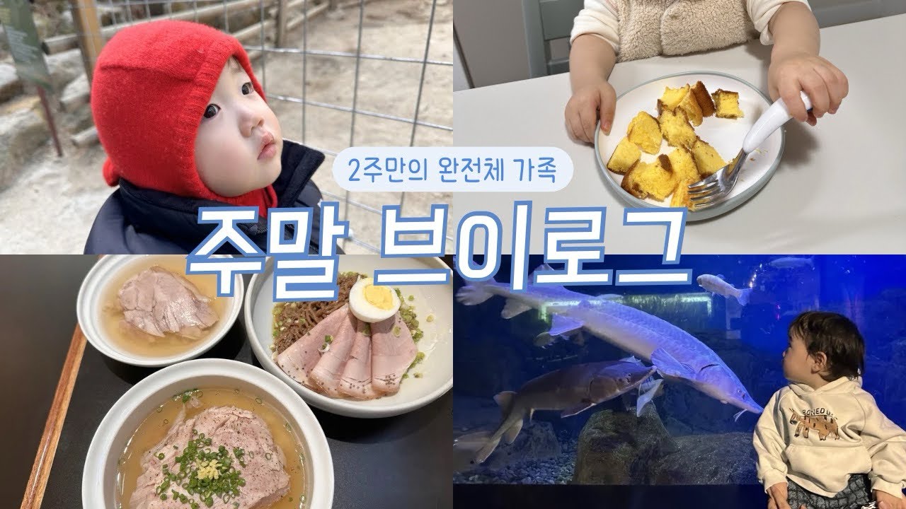 [vlog] 2주 기다렸더니 이틀만에 끝남 ㅠ