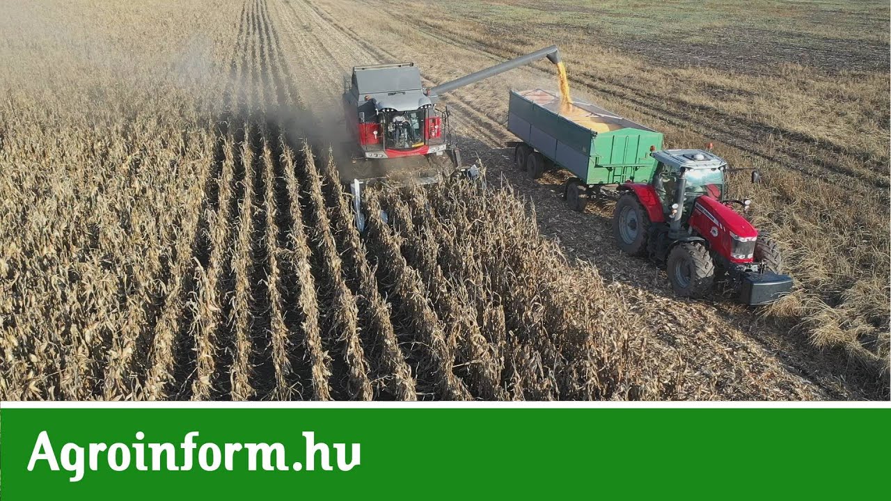 Kedvenc színünk a piros! Less be velünk Te is a Piller Farmra!