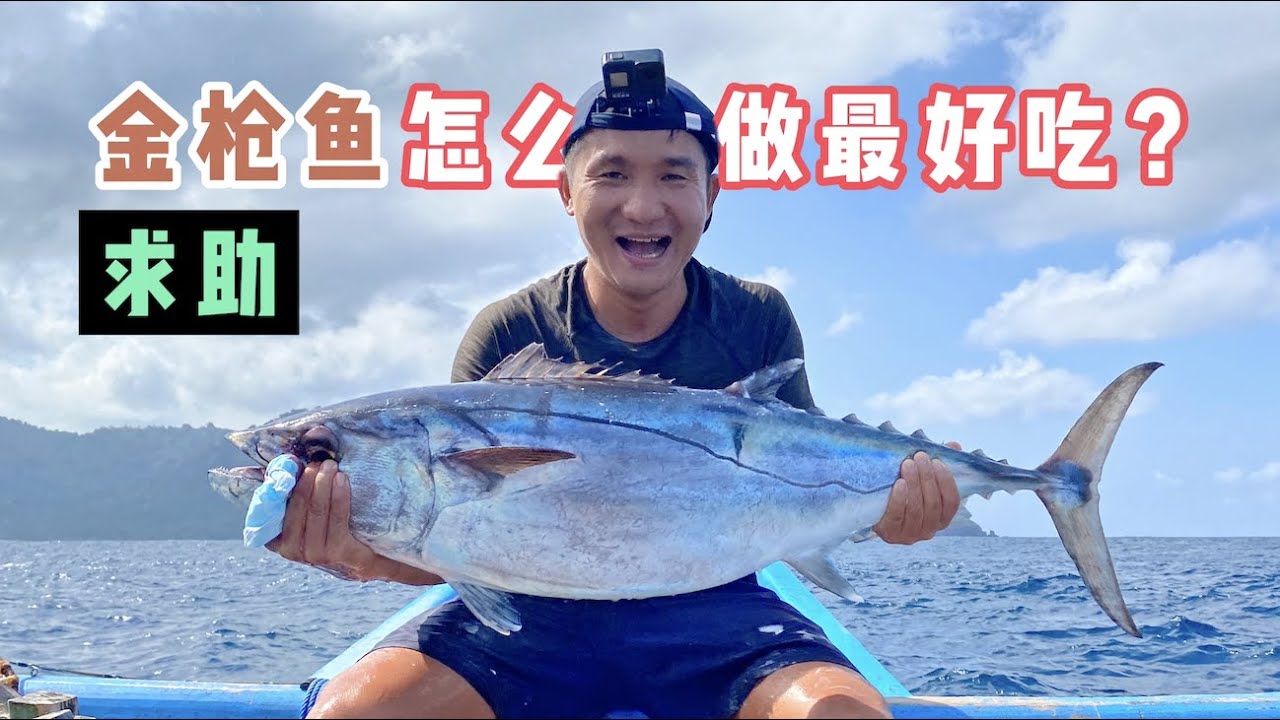 《印度尼西亚》第8天下集：25斤的大金枪，谁能来帮我一起盘了它 ！#旅行 #旅行攻略 #环球旅行 #旅拍 #indonesia #印度尼西亚 #海钓