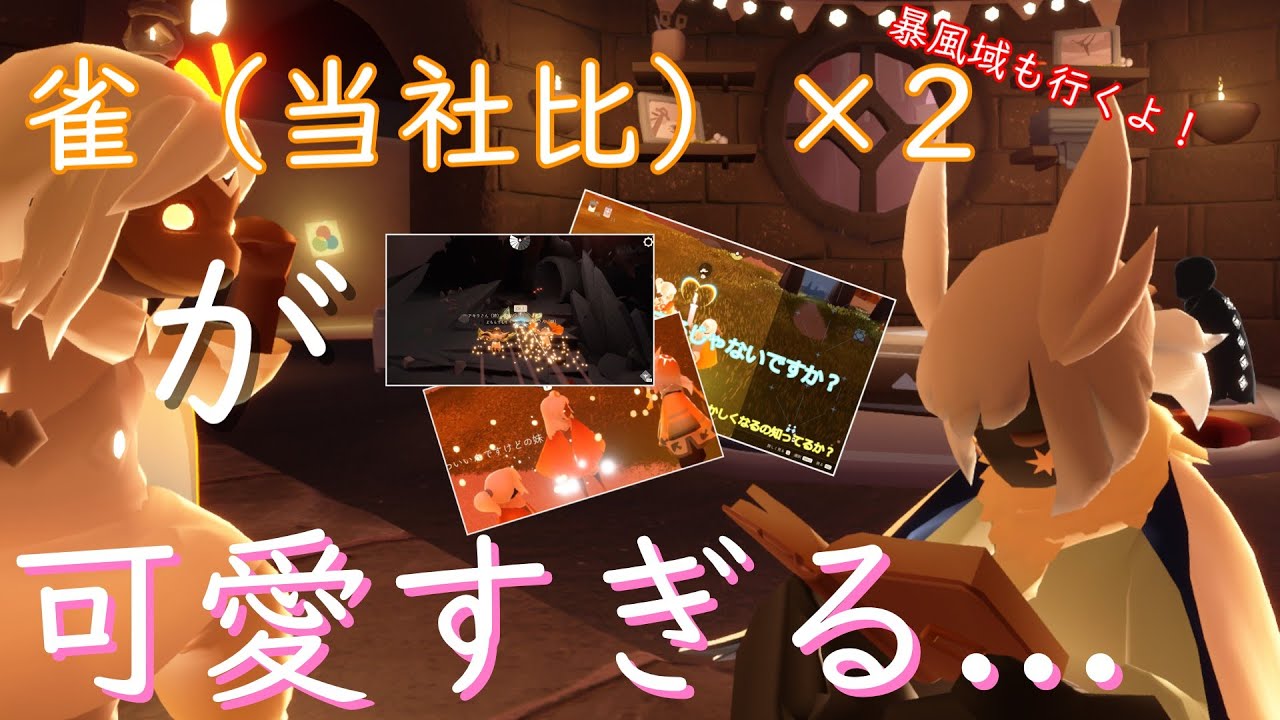 ゆっくりSky実況「雀（当社比）がかわいすぎるんですよ！！！」