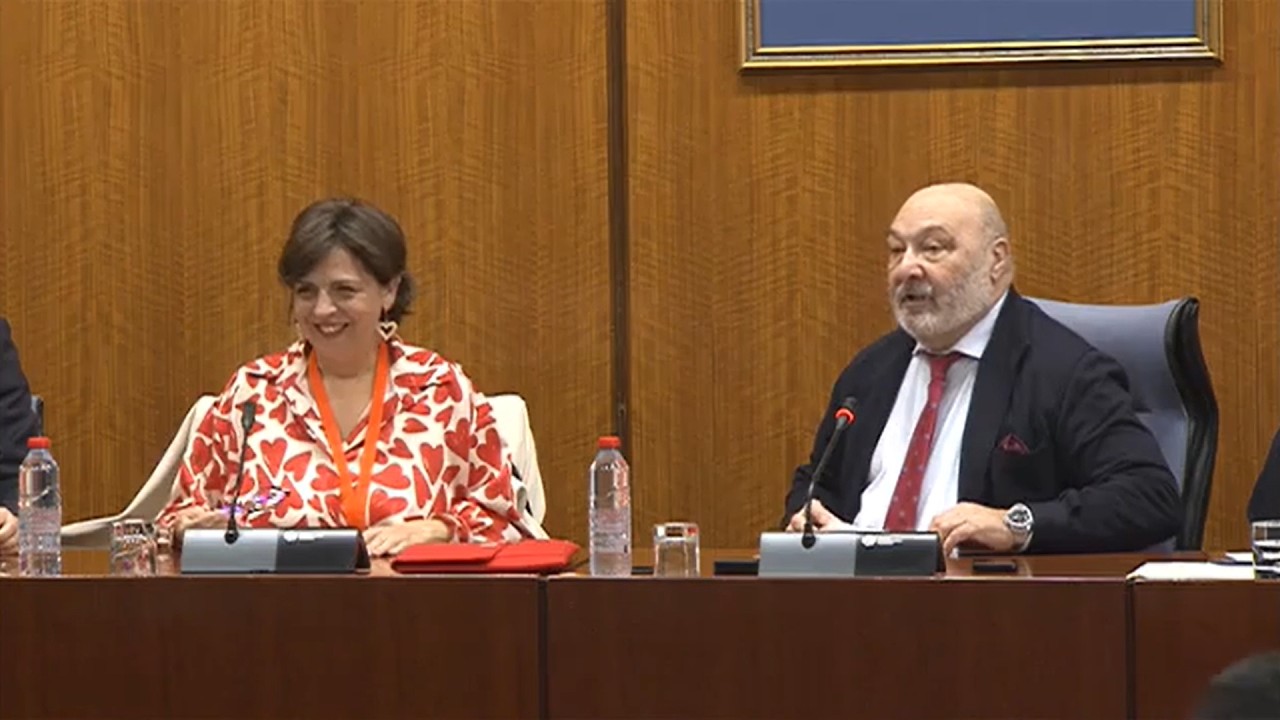 COMPARECENCIA PARLAMENTARIA ANTE LA COMISIÓN DE UNIVERSIDAD, INVESTIGACIÓN E INNOVACIÓN