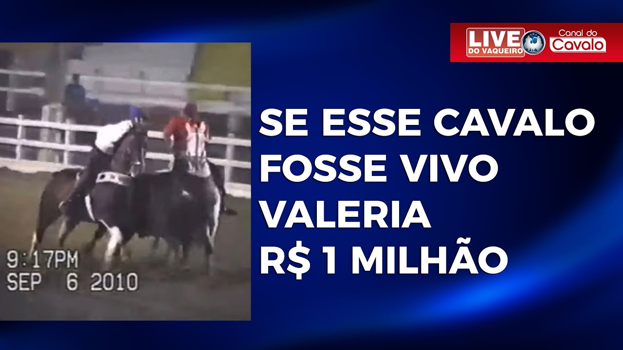 HOJE ESSE CAVALO VALERIA R$ 1 MILHÃO