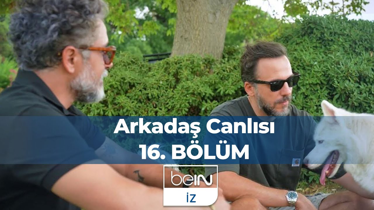 Arkadaş Canlısı 16. Bölüm: Serkan Altunorak